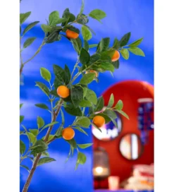 Drzewko sztuczne ORANGE 130 cm