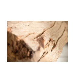 Lampa Podłogowa Driftwood Black