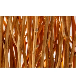 Lampa podłogowa Parave 180 cm longan naturalna