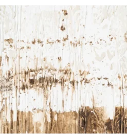 Obraz ABSTRACTO LENZO 100 x 180 cm