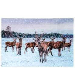 Obraz DEER 120 x 80 cm szklany
