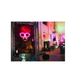 Obraz FANCY RED LADY LED 75 x 55 cm