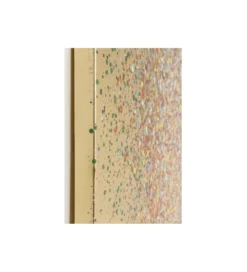 Obraz FLOWER BOAT GOLD PINK 40 x 50 cm