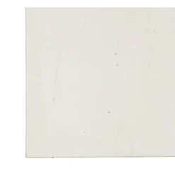 Obraz KWIATY 80 x 100 cm czarnobiały