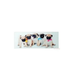 Obraz Girls&Boys 30 cm x 80 cm Assorted