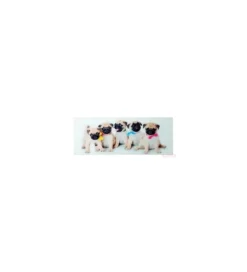 Obraz Girls&Boys 30 cm x 80 cm Assorted