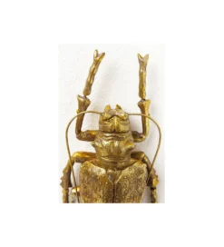 Ozdoba ścienna LONGICORN BEETLE złota