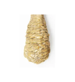 Ozdoba ścienna OSTRICH 18 x 71 cm złota