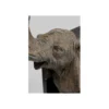 Podpora na książki Elephants set 2
