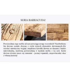 Stół Barracuda 240 cm w kolorze naturalnym