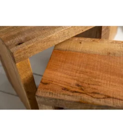 Stolik Finice Craft kawowy Makassar SET 3 drewno mango