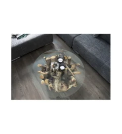 Stolik kawowy Aylin 60 cm teak