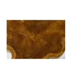 Stolik kawowy Root 40 cm drewno Teak