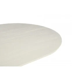 Stół PATO 230 cm drewno mango biała