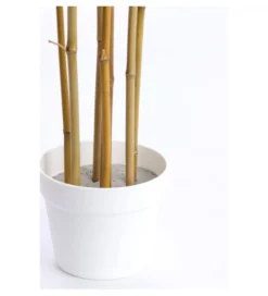 Sztuczna roślina BAMBOO 150 cm naturalne kremowe