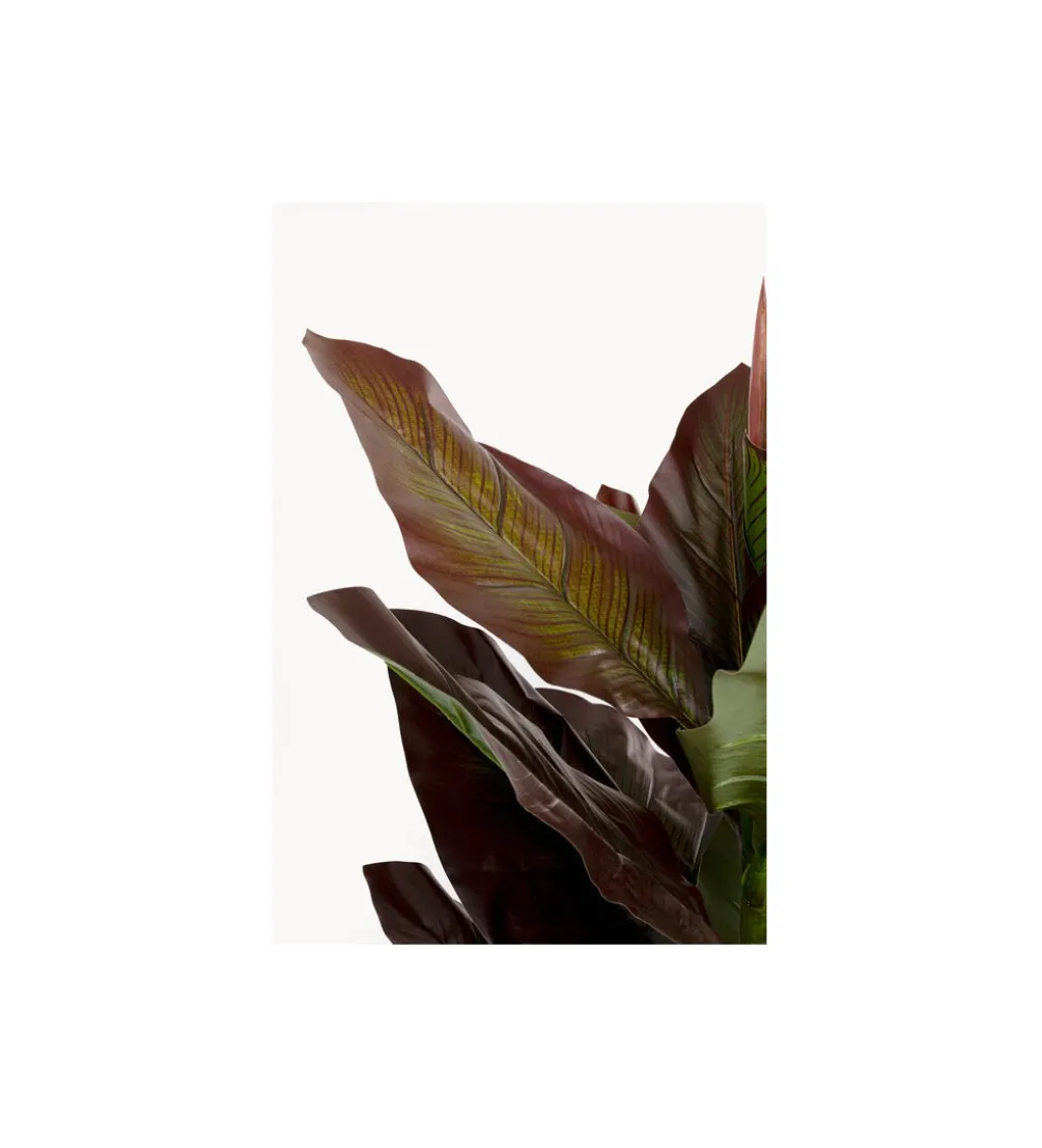 Sztuczna roślina CANNA LILY 165 cm