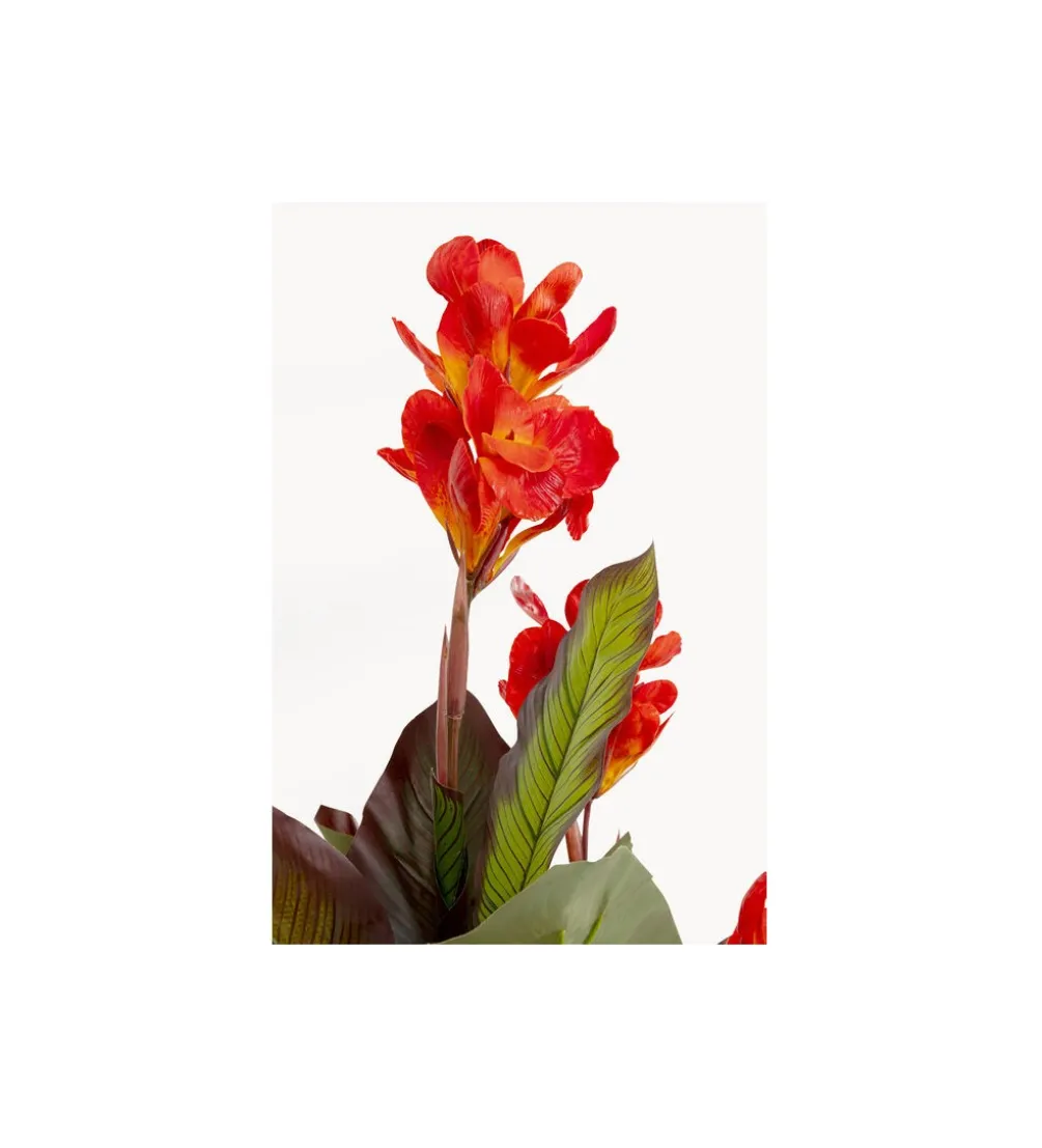 Sztuczna roślina CANNA LILY 165 cm
