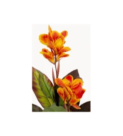 Sztuczna roślina CANNA LILY 115 cm