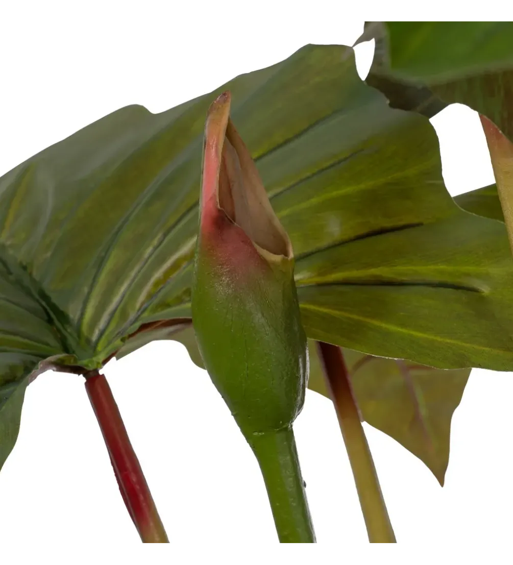 Sztuczna roślina COLOCASIA 185 cm