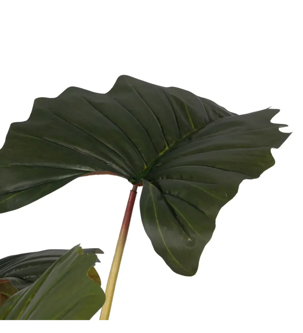 Sztuczna roślina COLOCASIA 185 cm