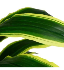Sztuczna roślina DRACAENA 120 cm