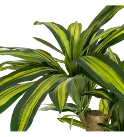 Sztuczna roślina DRACAENA 140 cm