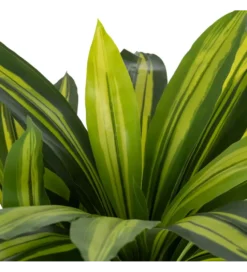 Sztuczna roślina DRACAENA 110 cm