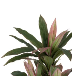 Sztuczna roślina DRACENA 160 cm