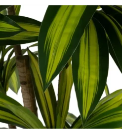 Sztuczna roślina drzewo DRACAENA 200 cm