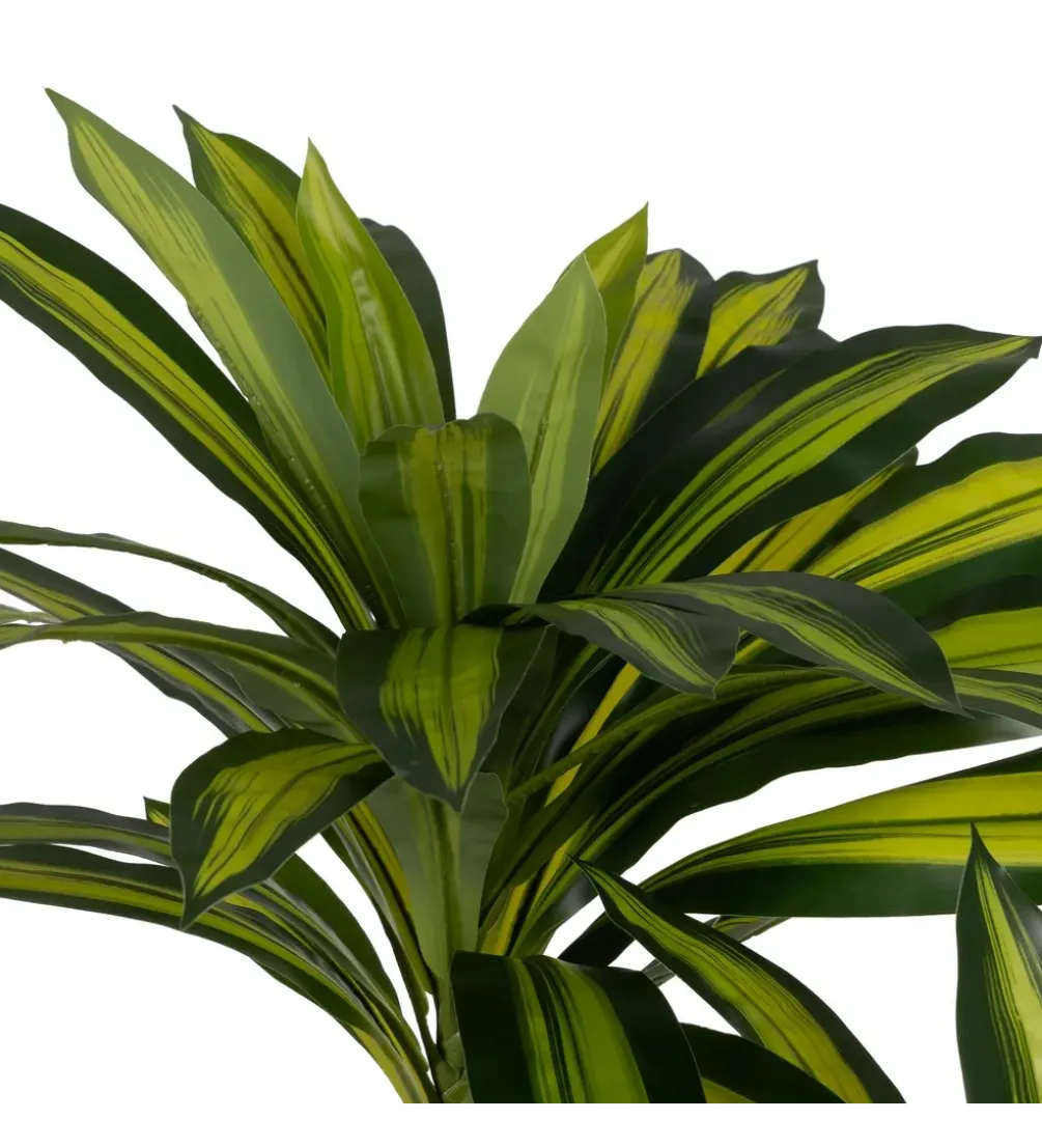 Sztuczna roślina drzewo DRACAENA 200 cm