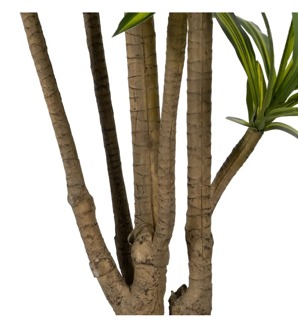 Sztuczna roślina drzewo DRACAENA 200 cm