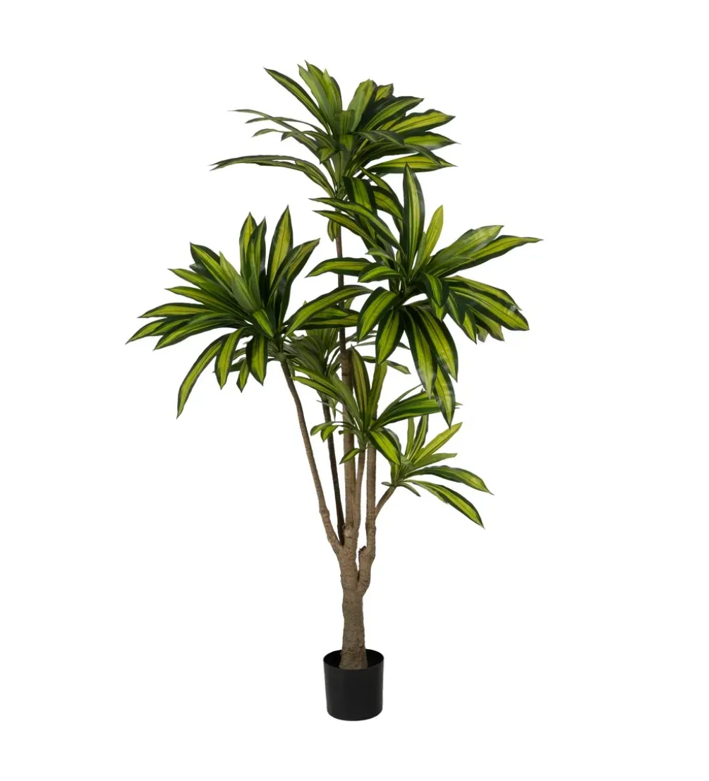 Sztuczna roślina drzewo DRACAENA 200 cm