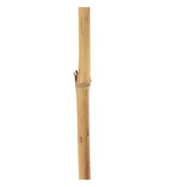 Sztuczna roślina FLOWERYTY 156 cm naturalny