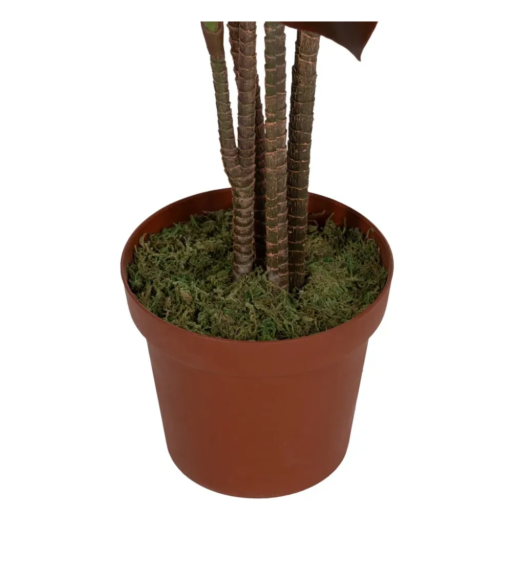 Sztuczna roślina JARDIN 170 cm