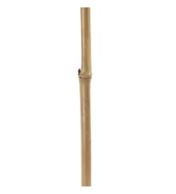 Sztuczna roślina KOSNO 190 cm naturalna