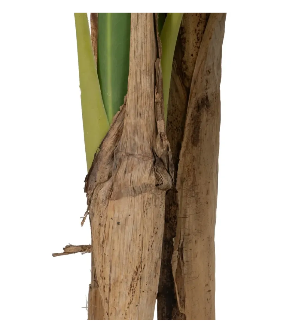Sztuczna roślina BANANOWIEC 150 cm