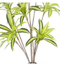 Sztuczna roślina DRACENA 210 cm