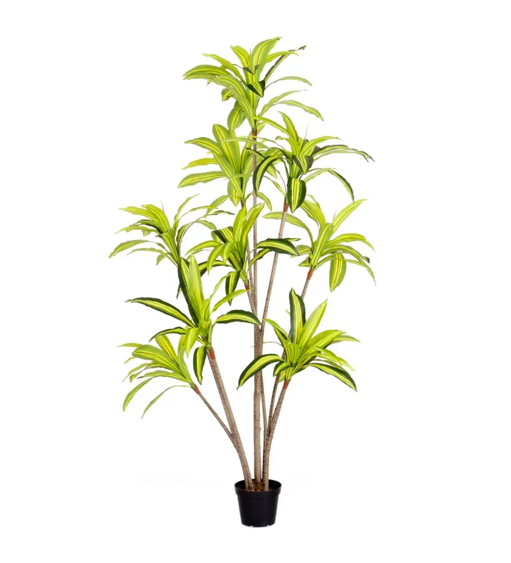 Sztuczna roślina DRACENA 210 cm