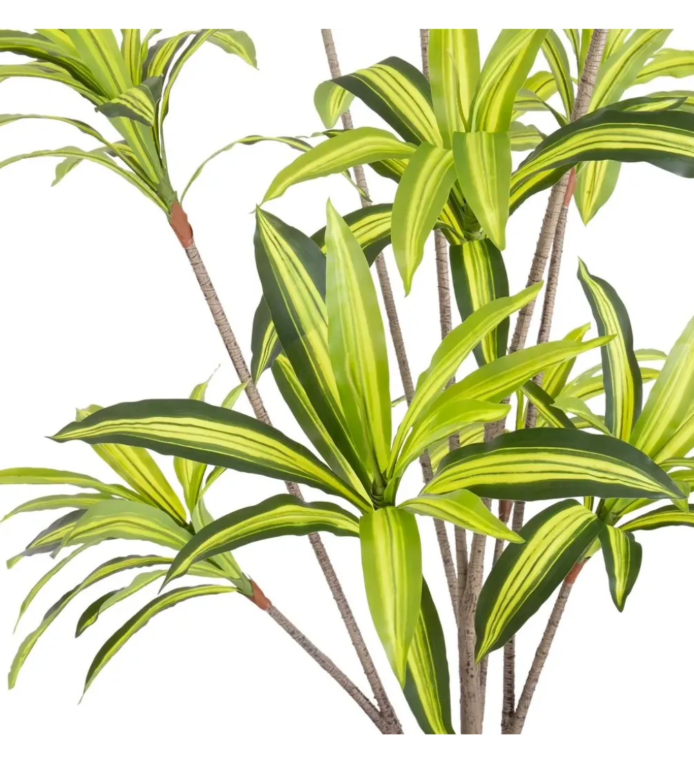 Sztuczna roślina DRACENA 210 cm