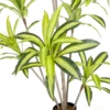 Sztuczna roślina DRACENA 180 cm