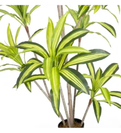 Sztuczna roślina DRACENA 180 cm