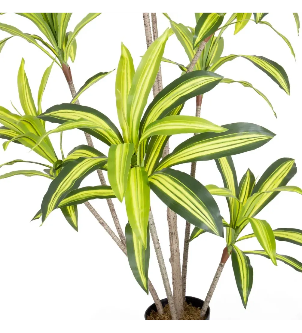 Sztuczna roślina DRACENA 180 cm