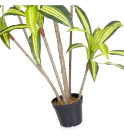 Sztuczna roślina DRACENA 180 cm