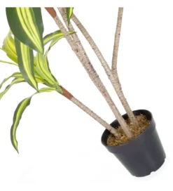Sztuczna roślina DRACENA 150 cm
