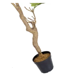 Sztuczna roślina FIKUS 200 cm