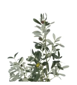 Sztuczna roślina OLIWKA 112 cm